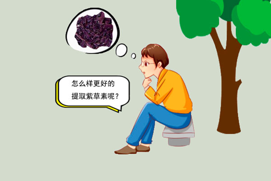 你听过紫草素吗？