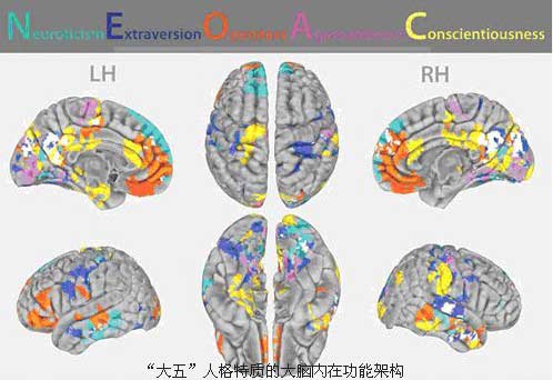 plos one：左西年等发现大脑功能架构反映人格特征