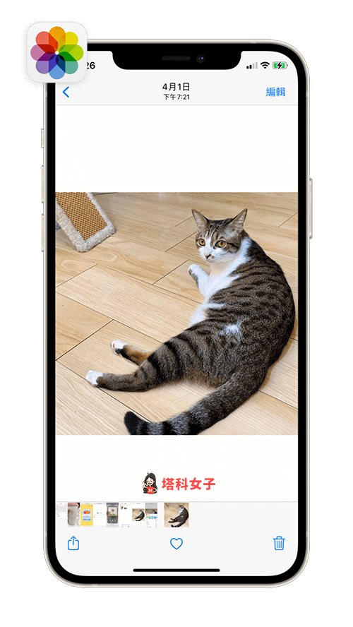 照片和影片从「档案 app」转存到「照片 app」