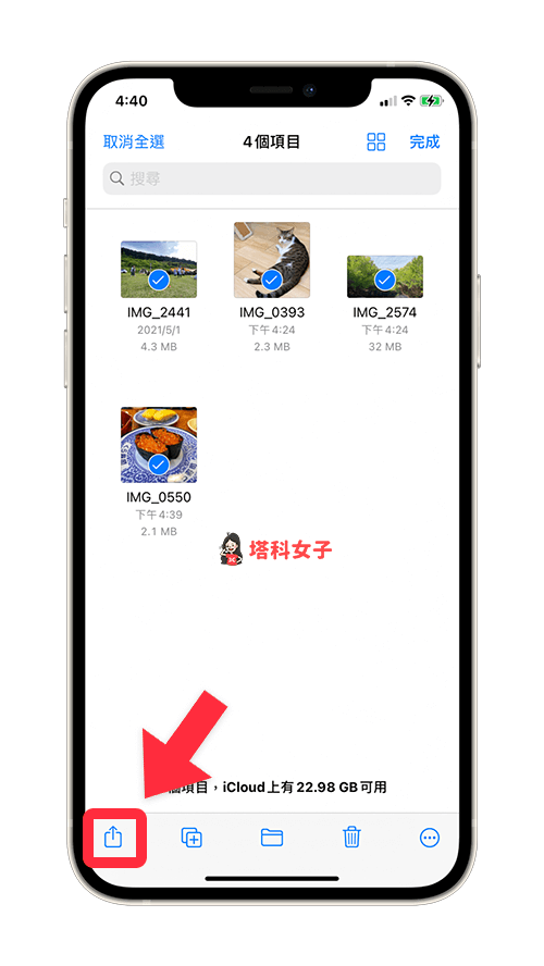 将多张照片或影片从「档案 app」转存到「照片 app」：点选分享