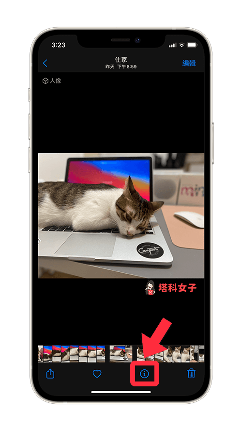 开启 ios 15 照片 app，点选底部的「i」
